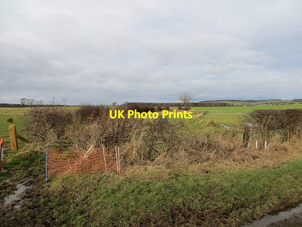 Photo 6"x4" Kimmerston Bog Kimmerston c2014