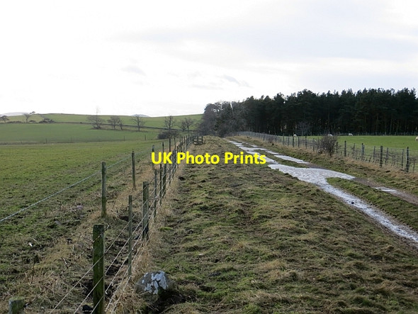 Photo 6"x4" Hill road above Milfield Kirknewton\/NT9130 c2014