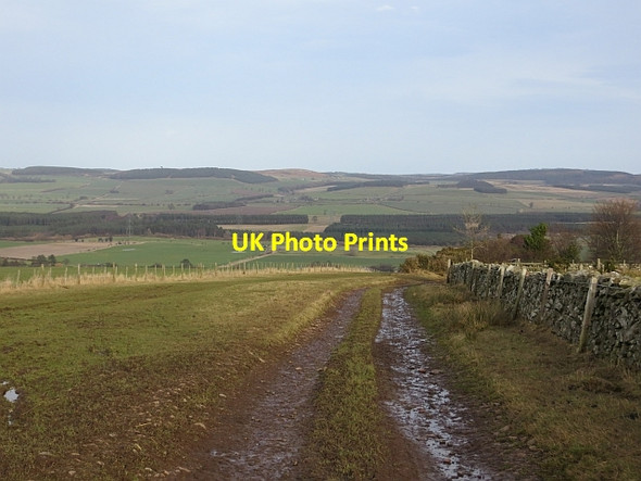 Photo 6"x4" Hill road above Milfield Milfield c2014