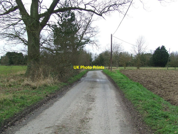 Photo 6"x4" Country Lane Stanway Green\/TM2470 c2014