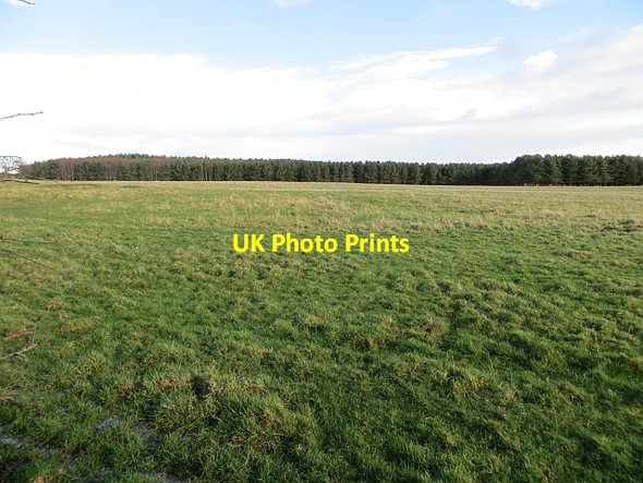 Photo 6"x4" Field, Ford Common Ford Hill\/NT9537 c2014
