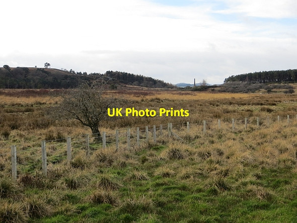 Photo 6"x4" Ford Moss Ford Hill\/NT9537 c2014