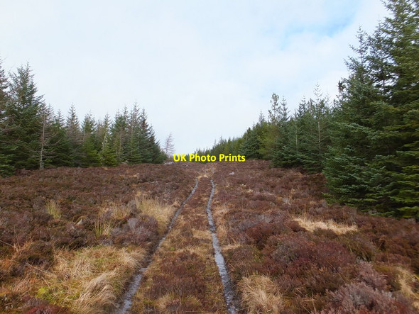 Photo 6"x4" Old drove road passing through plantation Gorstan c2014