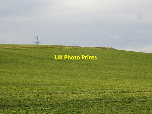 Photo 6"x4" Whitton Hill Milfield c2014