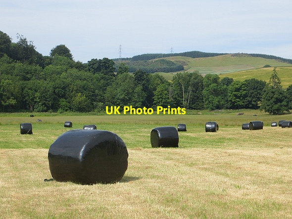Photo 6"x4" Silage bales Grange of Lindores c2013