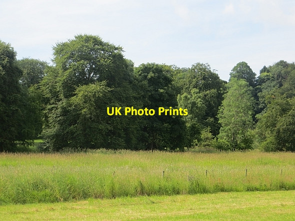 Photo 6"x4" Parkland, Pitcairlie Grange of Lindores c2013