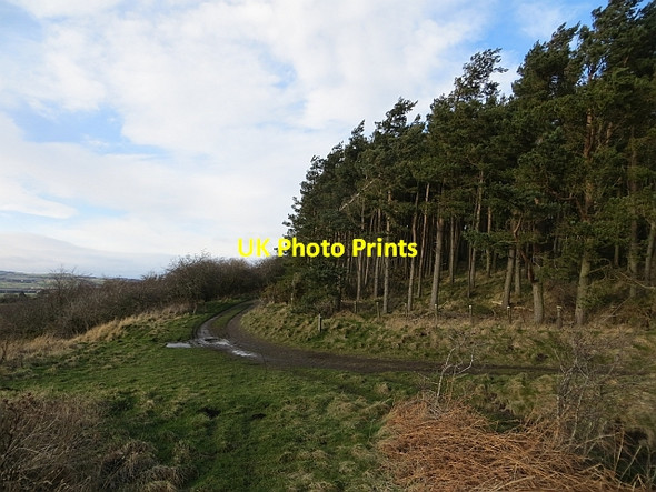 Photo 6"x4" Road, Ford Moss Ford Hill\/NT9537 c2014
