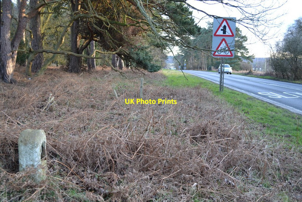 Photo 6"x4" Kings Lynn 6 Babingley c2014