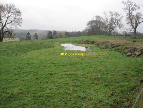 Photo 6"x4" Dried up Pond near Coldwell Barrasford c2014