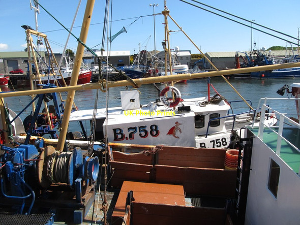 Photo 6"x4" The Carole Ann (B758) at Kilkeel Harbour Kilkeel c2013