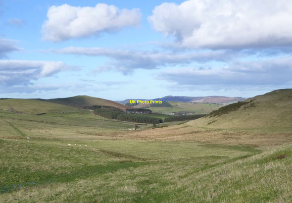 Photo 6"x4" Looking down the valley of Fawdon Burn Fawdon\/NU0315 c2014