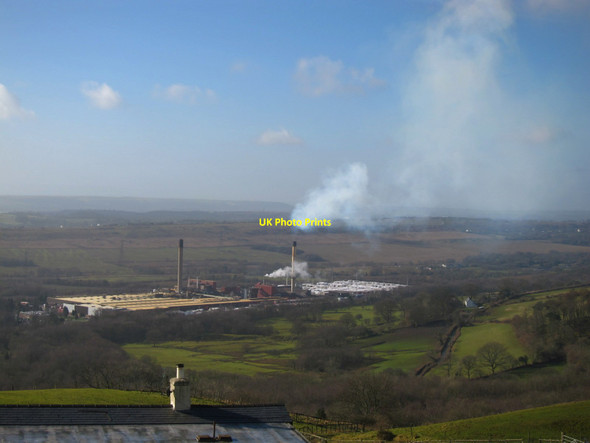 Photo 6"x4" Rockwool Plant at Wern Tarw Wern Tarw c2014