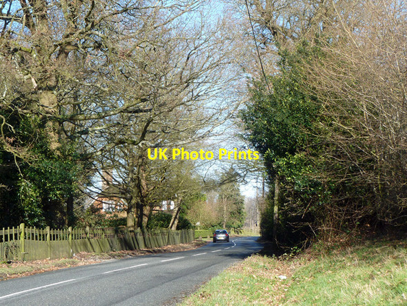 Photo 6"x4" Glassenbury Road Glassenbury c2014