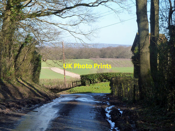 Photo 6"x4" Looking down Hushheath Hill Curtisden Green c2014