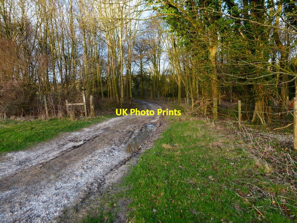 Photo 6"x4" Footpath enters wood north of Arundel Lodge Madehurst c2014