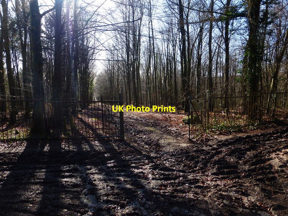 Photo 6"x4" Molecomb Broadwalk looking south through gate Charlton\/SU8812 c2014