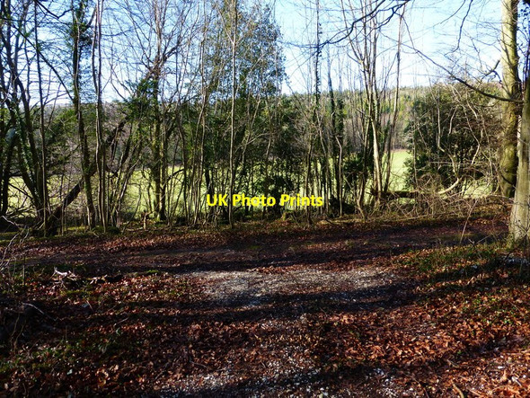 Photo 6"x4" Track junction in The Plantation Waterbeach\/SU8908 c2014