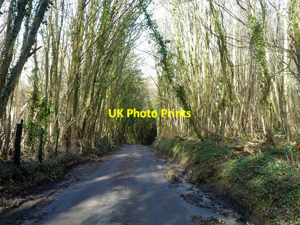 Photo 6"x4" Rumstead Lane in Squirrel Wood South Green\/TQ8460 c2014