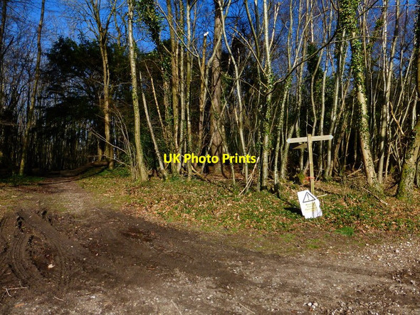 Photo 6"x4" Bridleway junction on the top of Rewell Hill Binsted c2014