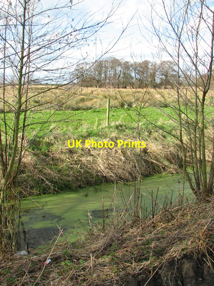 Photo 6"x4" Drainage ditch beside the Angles Way, Camps Heath Camps Heath c2014
