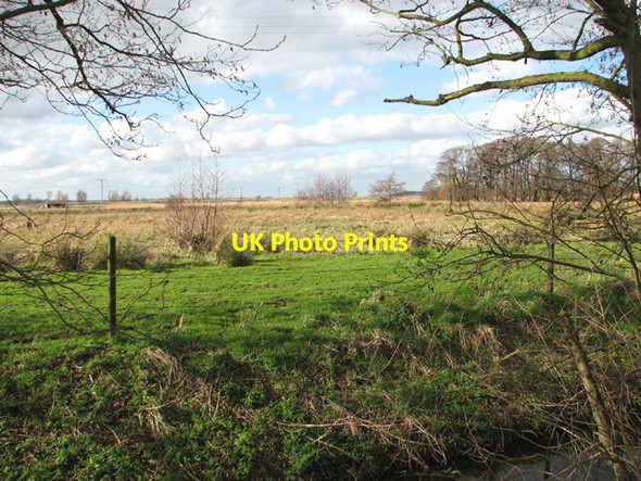 Photo 6"x4" View across Oulton Marshes Nature Reserve Camps Heath c2014