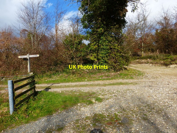 Photo 6"x4" Footpath junction just west of London Road Arundel c2014