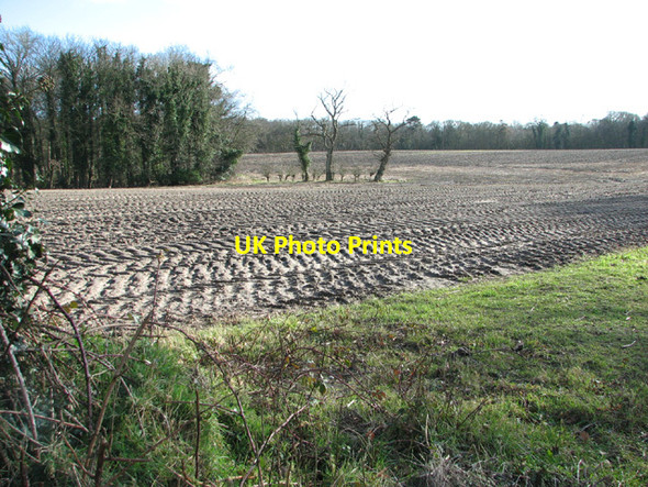 Photo 6"x4" Field by Nobb Cottages Camps Heath c2014