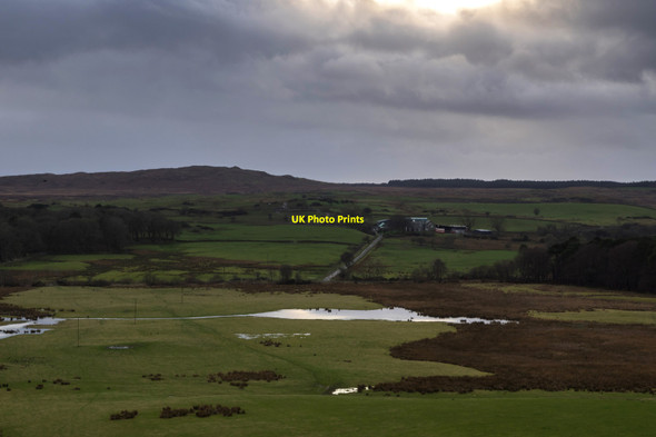 Photo 6"x4" Sheep pasture and floodwater Spittal\/NX3657 c2014