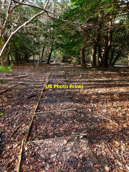 Photo 6"x4" Steps on footpath descending Rewell Hill Arundel c2014