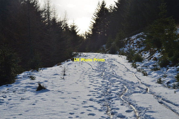 Photo 6"x4" Footprints and tyre tracks, Cloich Halmyre Mains c2014