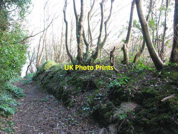 Photo 6"x4" Trackway to the beach Corton\/TM5497 c2014