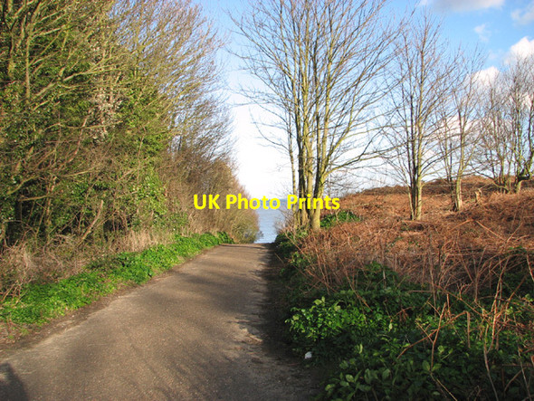 Photo 6"x4" View along Tramp's Alley Corton\/TM5497 c2014