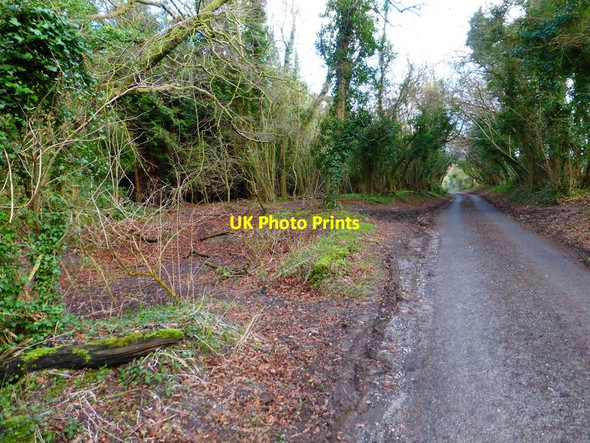 Photo 6"x4" Road to Madehurst from the north Madehurst c2014