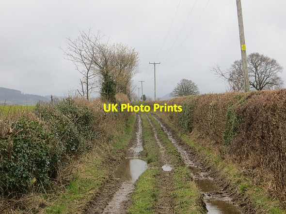 Photo 6"x4" Green lane, Pitchford Pitchford c2014