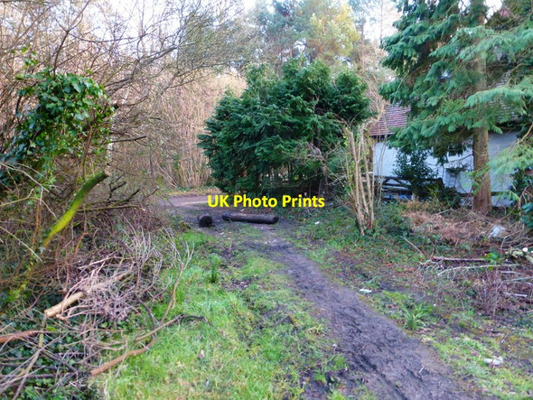Photo 6"x4" Footpath reaches Binsted Lane by cottage Arundel c2014