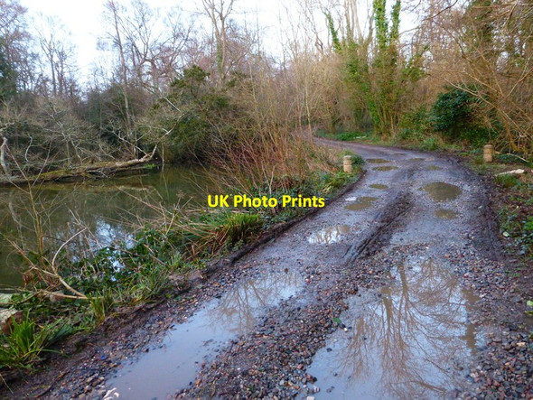 Photo 6"x4" Binsted Lane by pond Arundel c2014