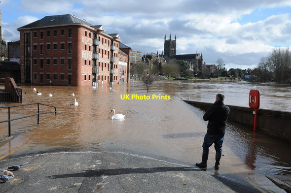 Photo 6"x4" Flooded South Parade Worcester c2014