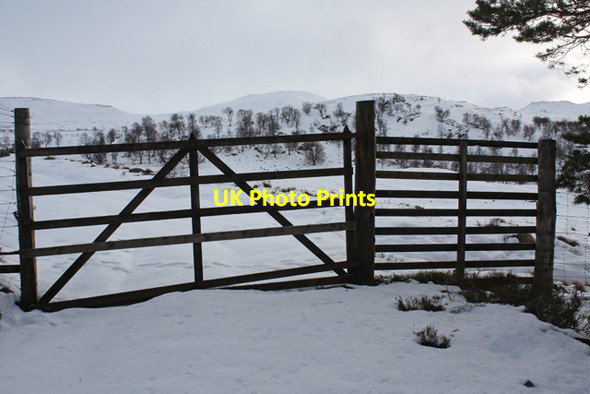 Photo 6"x4" Forest gate, Ardverikie Ardverikie c2014