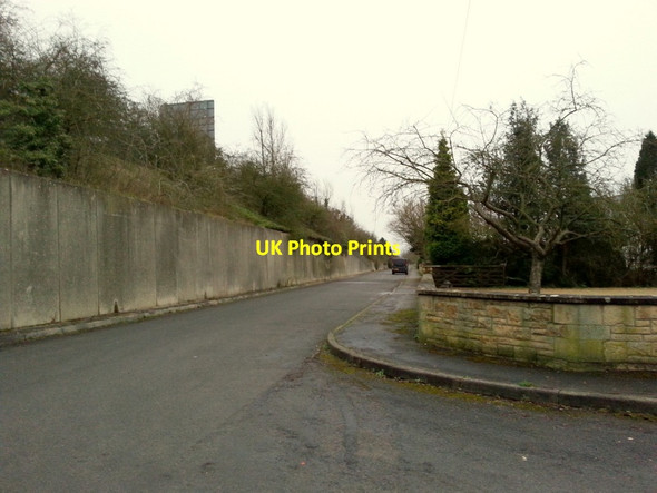 Photo 6"x4" Old Tewkesbury-Cheltenham Road Piff's Elm c2014