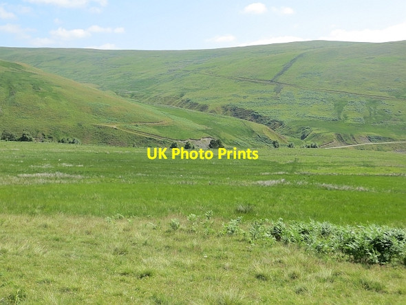 Photo 6"x4" Wetland pasture Dryhope c2013