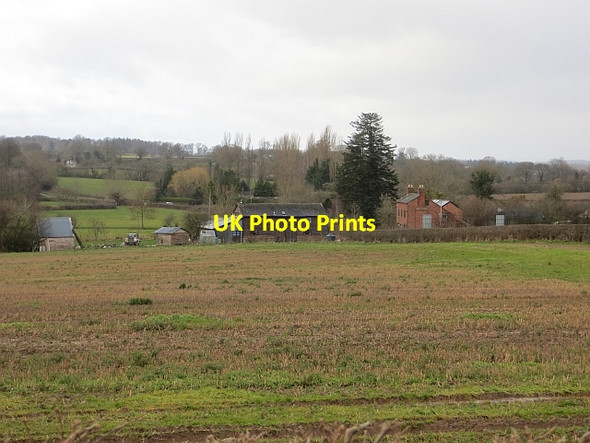 Photo 6"x4" Stubble near Golden Cross Lower Burton c2014