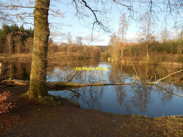 Photo 6"x4" Dabton Loch Nithbank c2014