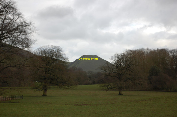 Photo 6"x4" In Ilam Park Ilam c2014