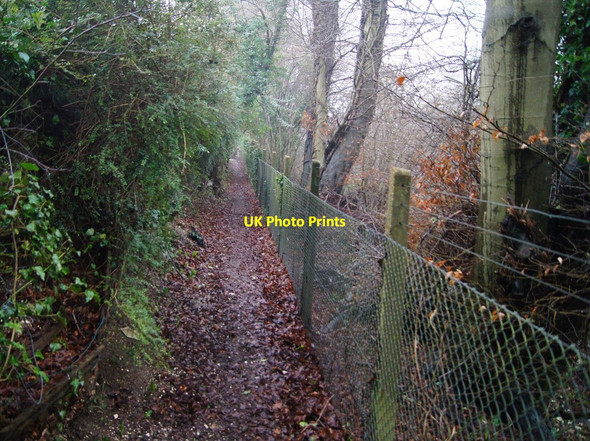 Photo 6"x4" Footpath by the railway Pardown c2014