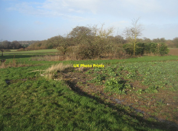 Photo 6"x4" Corner of Danny Field Pardown c2014
