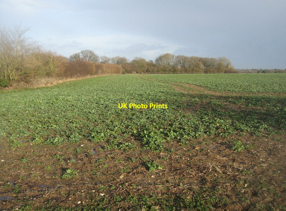 Photo 6"x4" Margin of Danny Field (26 acres) Pardown c2014