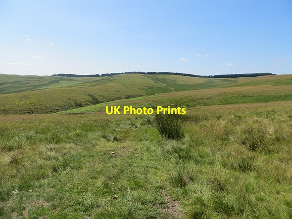 Photo 6"x4" Kinchie Cleuch Deuchar Law c2013