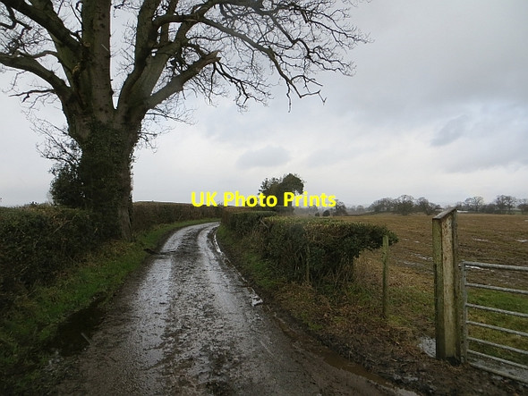 Photo 6"x4" Muddy lane,The Riddox Upper Broxwood c2014