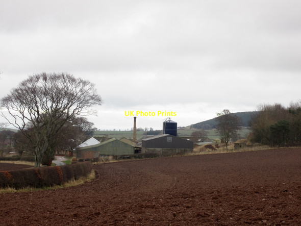 Photo 6"x4" Ploughed field next to Whiterig farm Prenderguest c2014