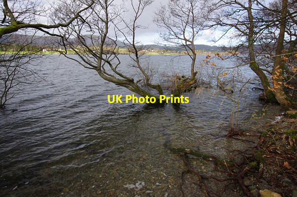 Photo 6"x4" Ullswater shore south of Sharrow Bay Watermillock c2014